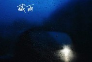 pro《藏雨》[FLAC/MP3-320K]网盘下载