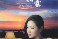 孙露2013年专辑《谁为我停留》[无损flac]网盘下载