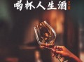 艺凌《喝杯人生酒》[无损flac]网盘下载