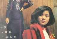 王菲1986年专辑《邓丽君 故乡情》[FLAC/MP3-320K]网盘下载