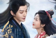 《仙台有树》电视剧原声音乐专辑[FLAC/MP3-320K]网盘下载