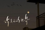 苏星婕《你走后的世界》[FLAC/MP3-320K]网盘下载