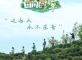 何洁、姜潮、李泊文、黄新淳、孙滢皓《田间的少年 - 茶田篇》[无损flac|320K高品质MP3]网盘下载
