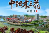 阎维文《中阳木之花》[FLAC/MP3-320K]网盘下载