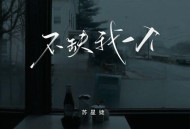苏星婕《不缺我一个》[FLAC/MP3-320K]网盘下载