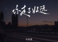 苏星婕《你走了好远》[无损flac|320K高品质MP3]网盘下载