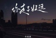苏星婕《你走了好远》[无损flac|320K高品质MP3]网盘下载