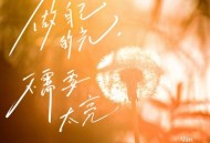 阿兰《做自己的光，不需要太亮》[无损flac|320K高品质MP3]网盘下载