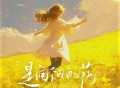 善宇《是向阳的花》[FLAC/MP3-320K]网盘下载