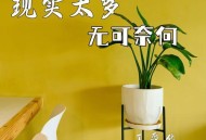 王爱华《现实太多无可奈何》[无损flac|320K高品质MP3]网盘下载