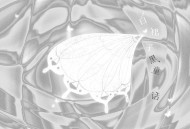 希林娜依·高《白裙子黑童话》[无损flac|320K高品质MP3]网盘下载