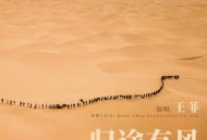 王菲《归途有风》[FLAC/MP3-320K]网盘下载