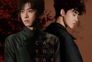 七叔（叶泽浩）、GoBback《Can you say（GoBback Remix）》[FLAC/MP3-320K]网盘下载