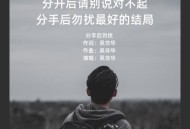 吴非华《分手后勿扰》[无损flac|320K高品质MP3]网盘下载