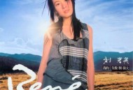 刘若英2003年专辑《我的失败与伟大》[无损flac]网盘下载