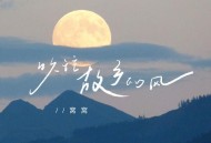 窝窝《吹往故乡的风》[FLAC/MP3-320K]网盘下载