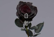 方大同《白发》[无损flac]网盘下载