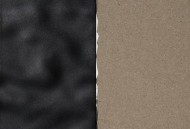 郑宜农2025年专辑《圆缺》[FLAC/MP3-320K]网盘下载