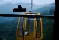 旅行团乐队、新裤子乐队《空山灵雨》[FLAC/MP3-320K]网盘下载