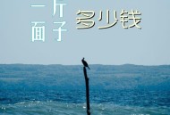 常超凡《一斤面子多少钱》[无损flac|320K高品质MP3]网盘下载