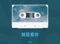 七元《就是爱你（七元版）》[FLAC/MP3-320K]网盘下载