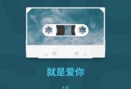 七元《就是爱你（七元版）》[FLAC/MP3-320K]网盘下载