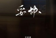 苏星婕《妥协》[无损flac]网盘下载