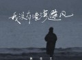 魏佳艺《我没有港湾避风》[无损FLAC|320K高品质MP3]网盘下载