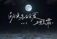 田园《白月光怎么会爱地上霜》[FLAC/MP3-320K]网盘下载