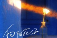 张楚涵《车顶之上》[无损FLAC|320K高品质MP3]网盘下载