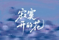 海来阿木《寂寞开的花》[FLAC/MP3-320K]网盘下载