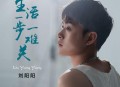 刘阳阳《生活一步一难关》[无损flac|320K高品质MP3]网盘下载