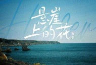 善宇《悬崖上的花》[无损flac|320K高品质MP3]网盘下载