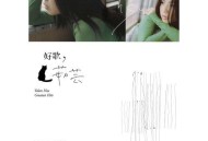 许茹芸2011年专辑《好歌茹芸》[无损flac]网盘下载