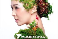 薛凯琪2013年专辑《Tenacious》[无损flac]网盘下载