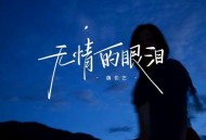 魏佳艺《无情的眼泪》[FLAC/MP3-320K]网盘下载