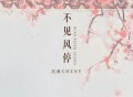 沉虞CHENY《不见风停》[FLAC/MP3-320K]网盘下载