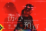 辛晓琪《伤心预告》[无损flac]网盘下载