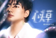 海来阿木《心头草》[FLAC/MP3-320K]网盘下载