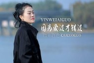 雨中百合《因为爱过才错过》[无损flac|320K高品质MP3]网盘下载