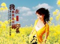 红蔷薇《我在油菜花田等你来》[FLAC/MP3-320K]网盘下载