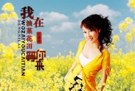 红蔷薇《我在油菜花田等你来》[FLAC/MP3-320K]网盘下载