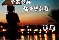 龙翼《不要寂寞你才想起我》[FLAC/MP3-320K]网盘下载