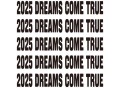JelloRio李佳隆专辑《出人头地 2025 Dreams Come True Mixtape》[FLAC/MP3-320K]网盘下载