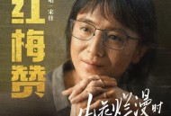 宋佳《红梅赞》[无损FLAC|320K高品质MP3]网盘下载