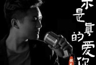 张艺迈《若不是真的爱你》[FLAC/MP3-320K]网盘下载