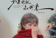 龙仙儿《如果南风知我意》[FLAC/MP3-320K]网盘下载