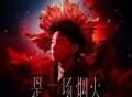 胡彦斌2024是一场烟火巡回演唱会现场专辑[FLAC/MP3-320K]网盘下载
