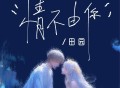 田园《情不由你》[FLAC/MP3-320K]网盘下载