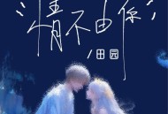 田园《情不由你》[FLAC/MP3-320K]网盘下载